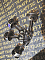  4 : 6f2159ce
